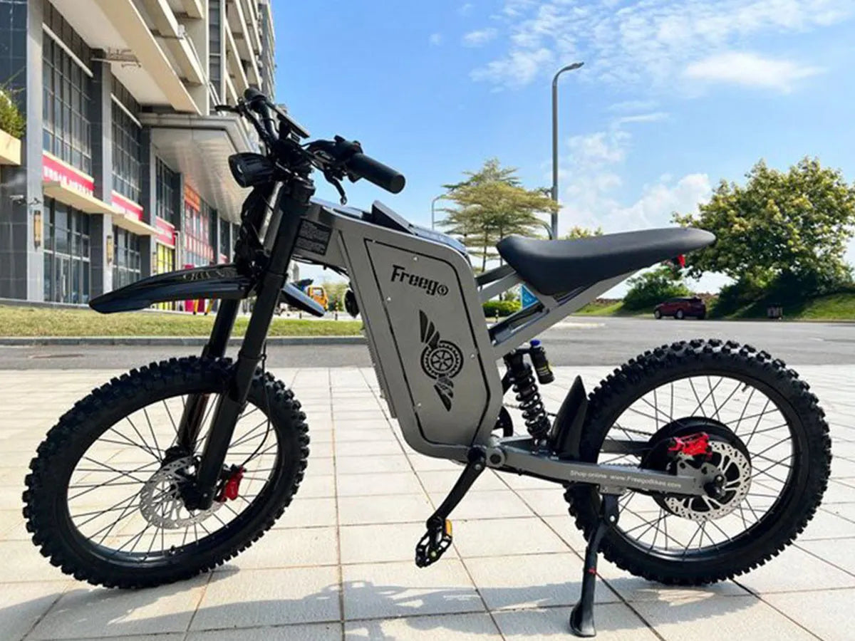 Freego X2 Pro Electric bike