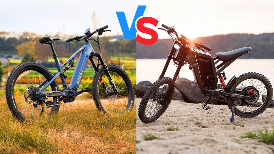 Lectrek Ebikes