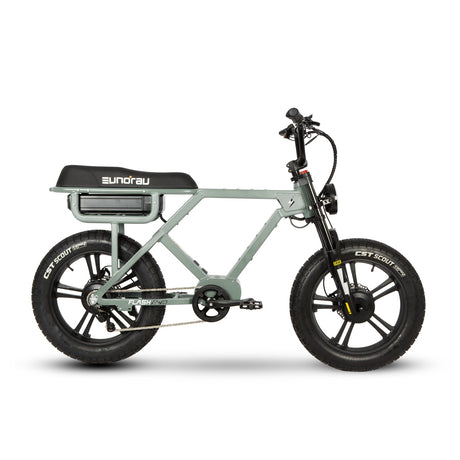 Eunorau Flash AWD Moped Ebike