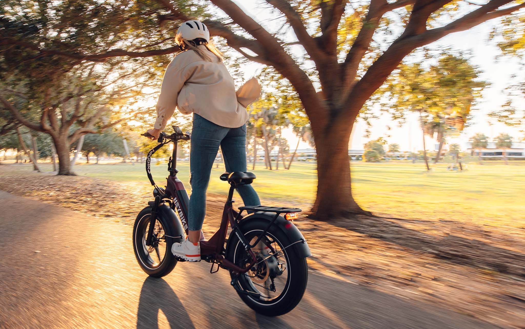 Heybike Ranger S Folding Electric Bike