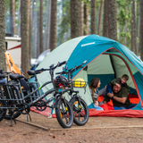 Mukkpet Stepwagon Long Range Cargo Ebike