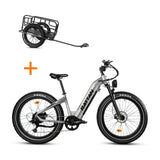 Rattan Sequoia Samsung Battery Electric Bike