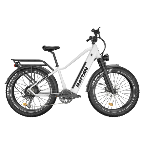 Rattan Pathfinder All Terrian Ebike