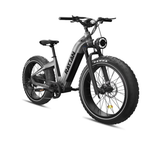 Rattan Sequoia Samsung Battery Electric Bike