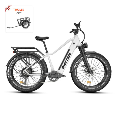 Rattan Pathfinder All Terrian Ebike