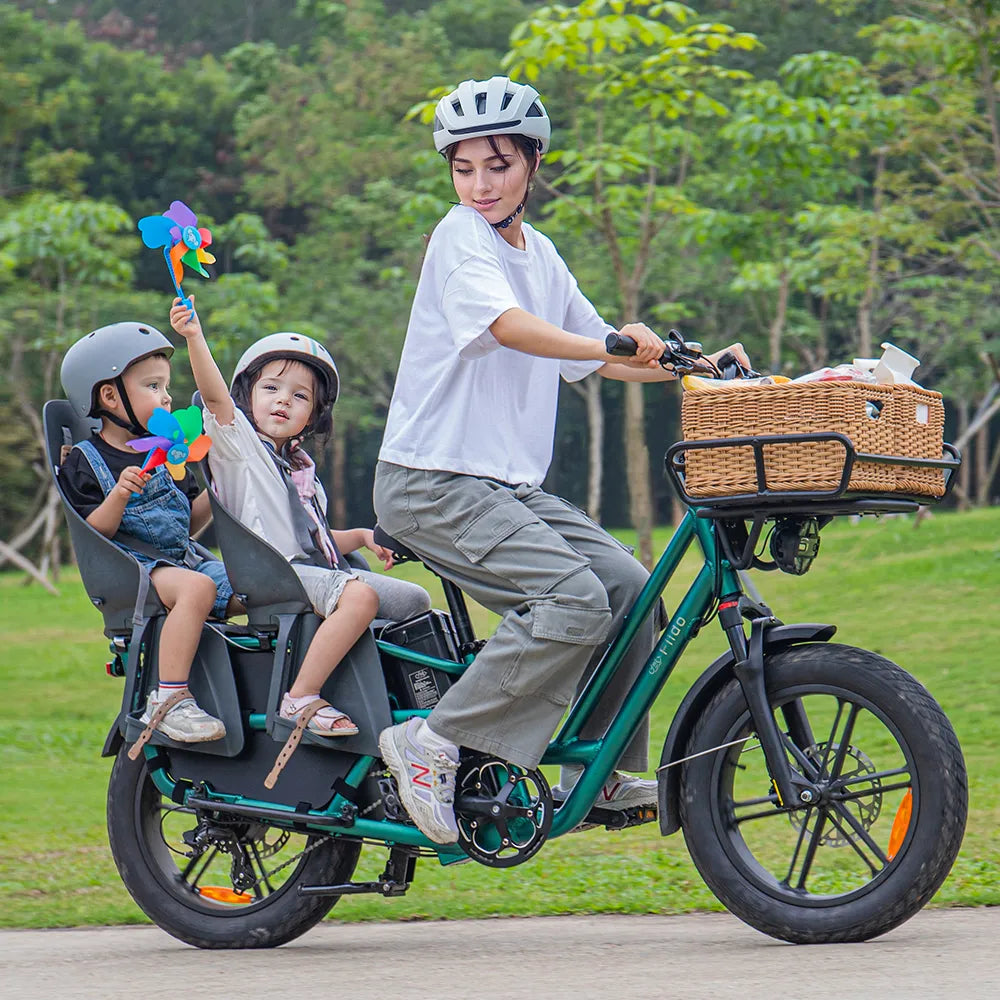 Fiido T2 Cargo Utility Electric Bike