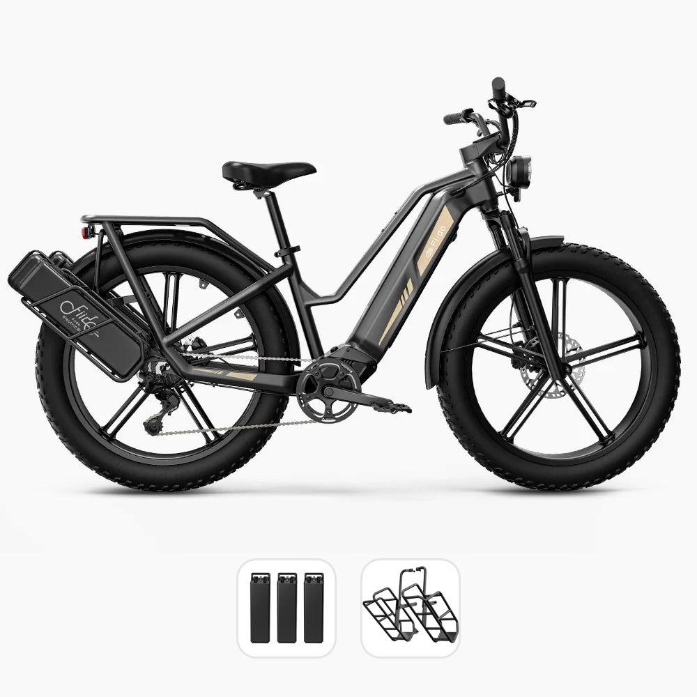 Fiido Titan Cargo Electric Bike