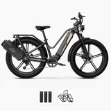 Fiido Titan Cargo Electric Bike