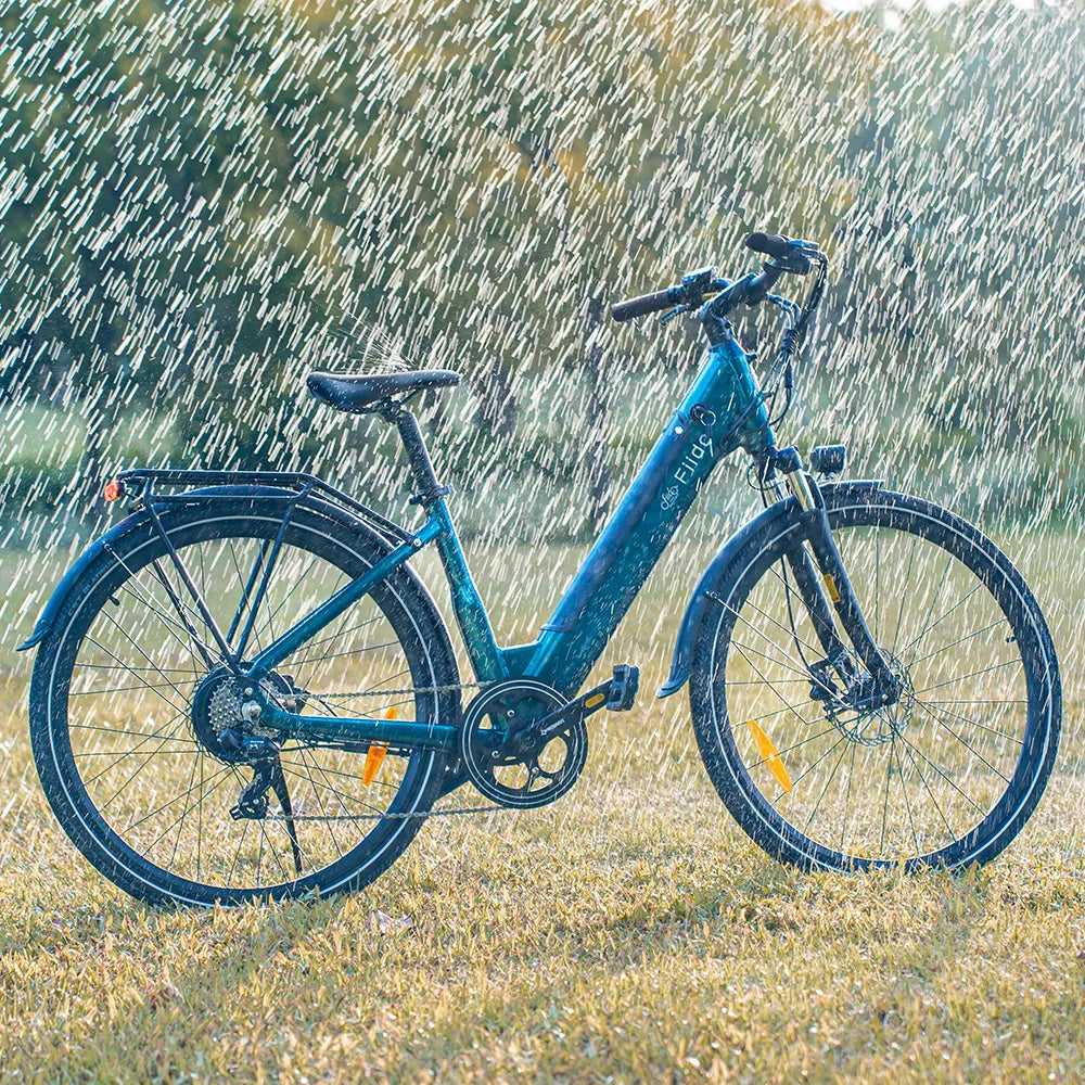 Fiido C11 Commuter Ebike