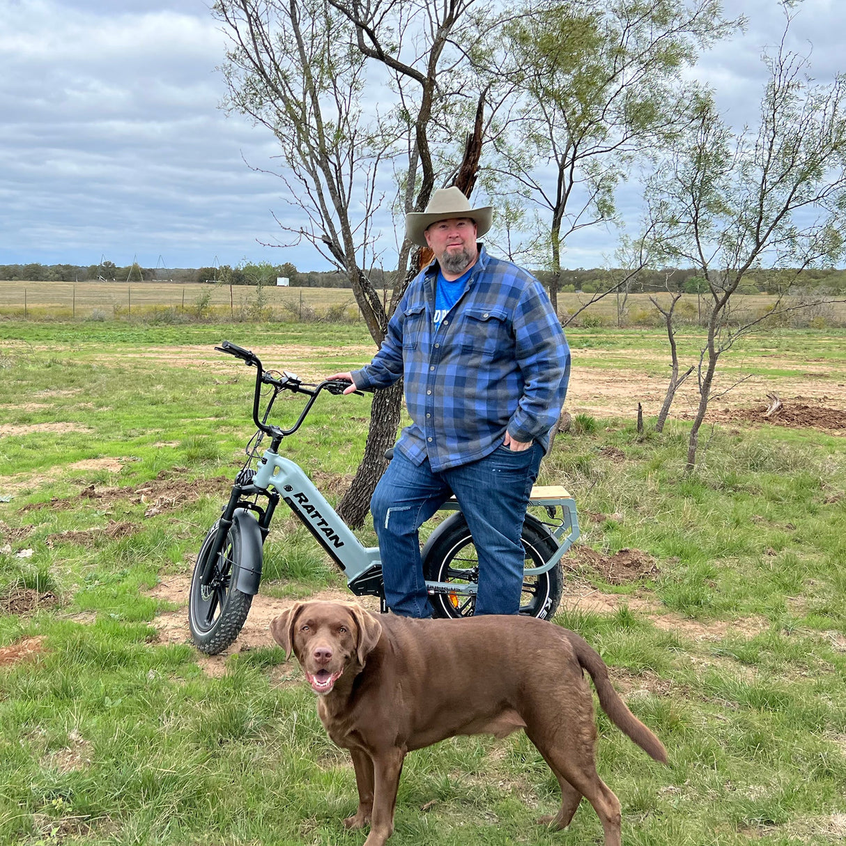 Rattan Quercus Long Range Utility Ebike