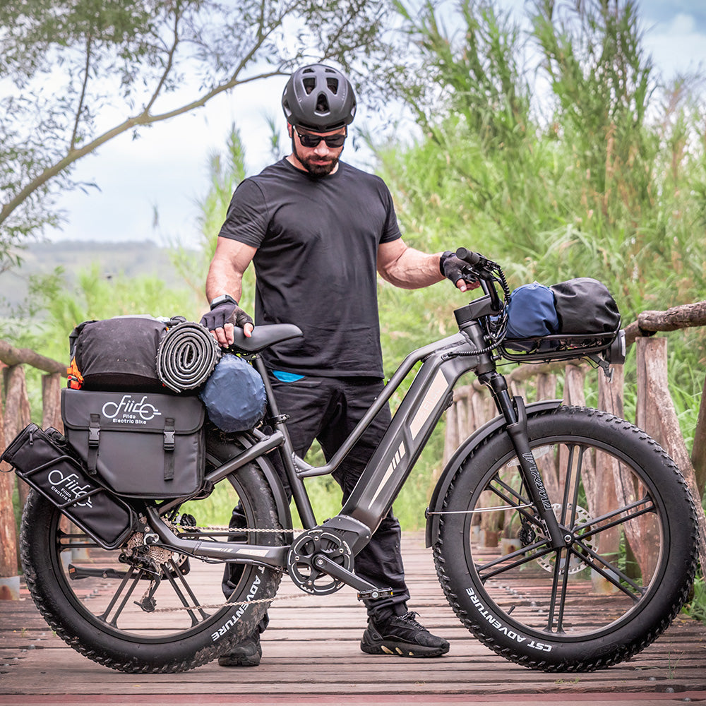 Fiido Titan Cargo Electric Bike