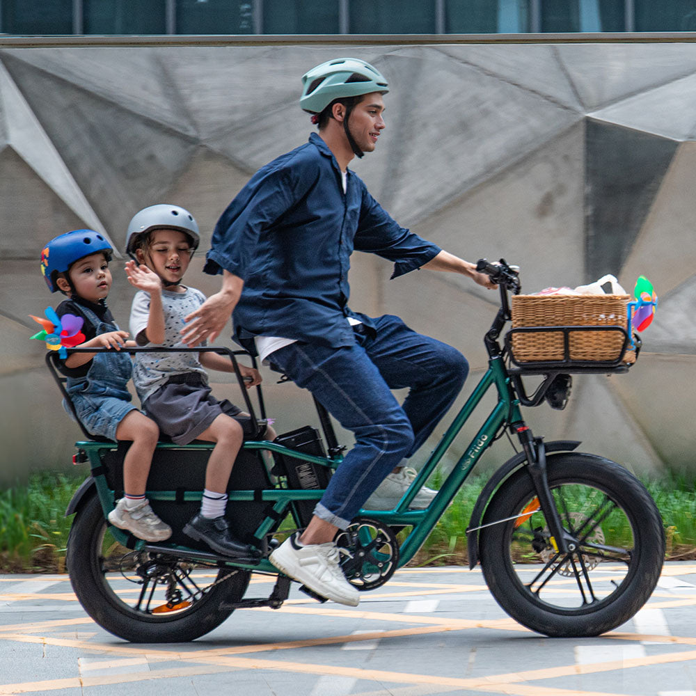 Fiido T2 Cargo Utility Electric Bike