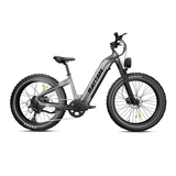 Rattan Sequoia Samsung Battery Electric Bike