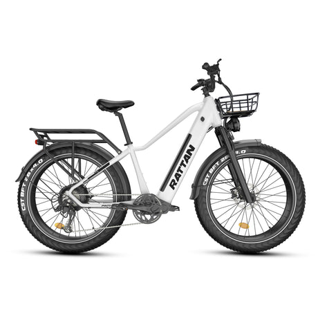 Rattan Pathfinder All Terrian Ebike