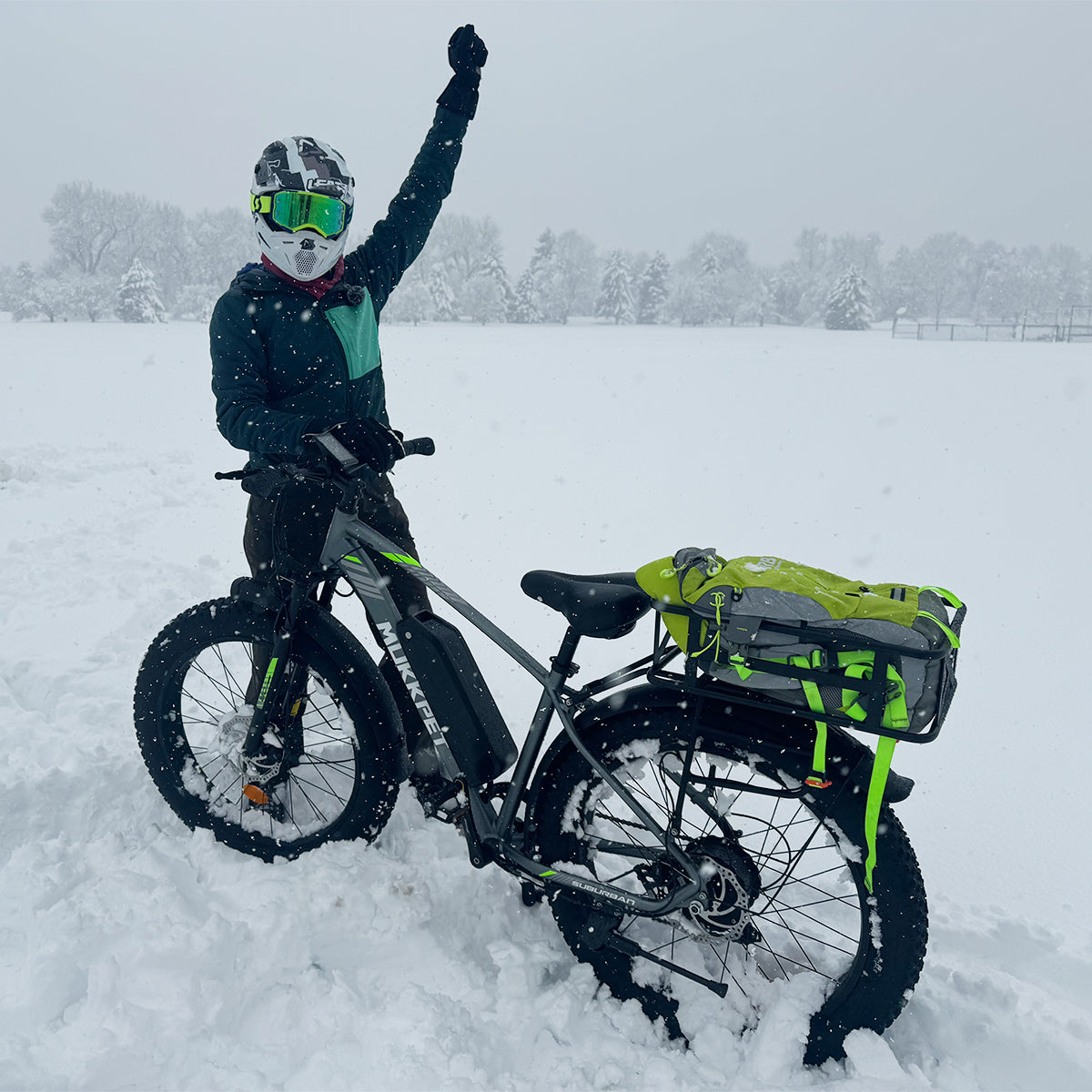 Mukkpet Suburban Mountain Ebike