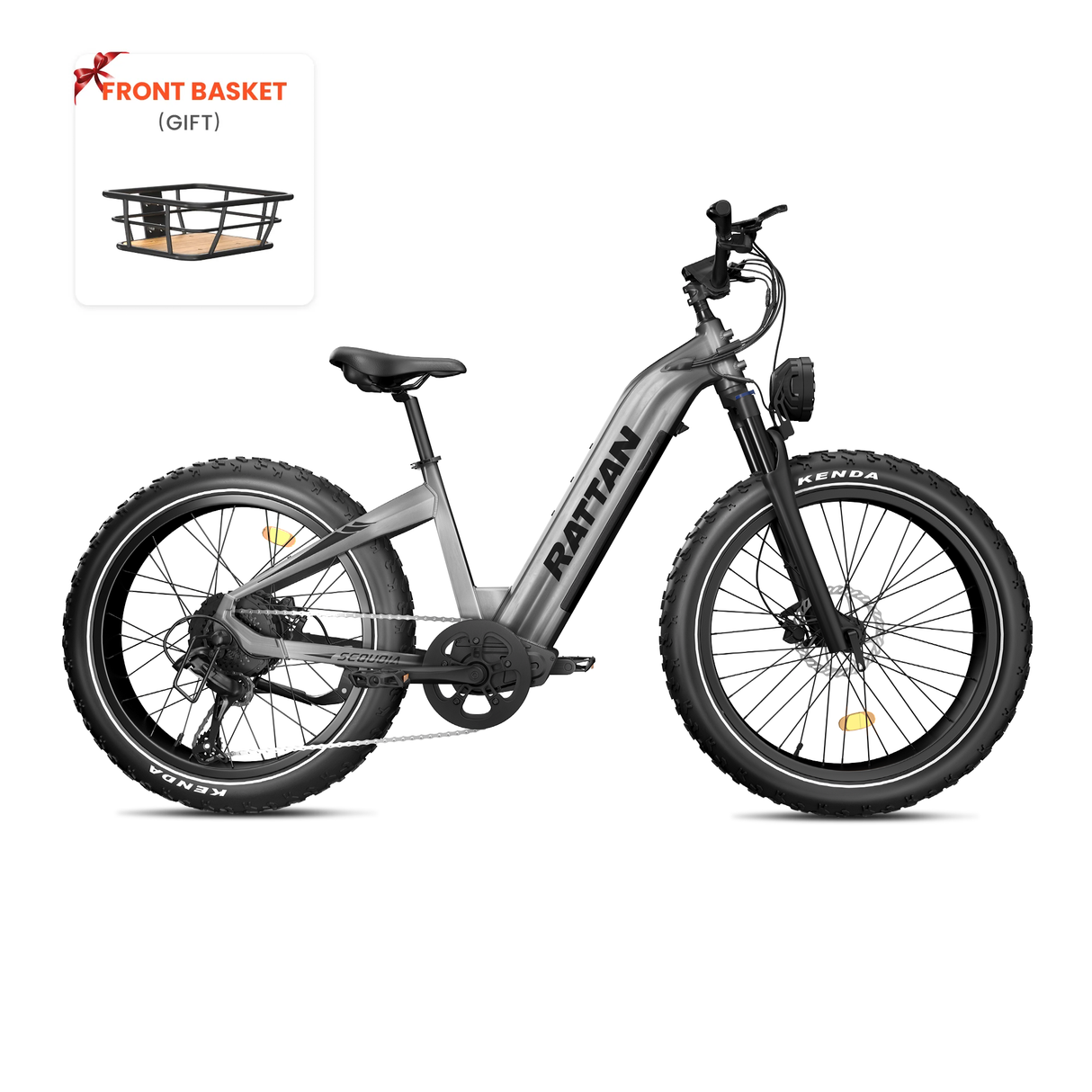 Rattan Sequoia Samsung Battery Electric Bike