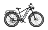 Heybike Brawn All Terrain Ebike