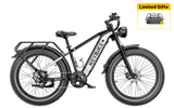 Heybike Brawn All Terrain Ebike