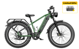 Heybike Brawn All Terrain Ebike