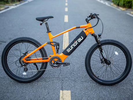Eunorau Defender all terrain electric bicycles for sale