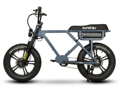 Eunorau Flash 2wd electric bike