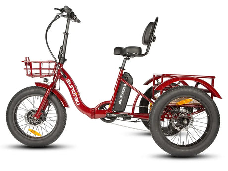 Eunorau New-Trike 2.0 adult three wheel trike ebike