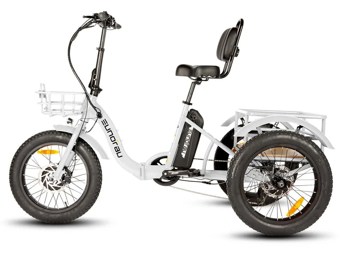 Eunorau New-Trike 2.0 best e trike bike for family