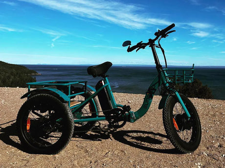 Eunorau New-Trike  cargo trike ebike