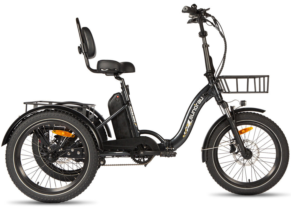 Eunorau one-trike ebike cargo trike