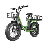 Freego FB-20X Step-Thru Cargo Ebike