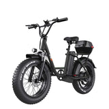 Freego FB-20X Step-Thru Cargo Ebike