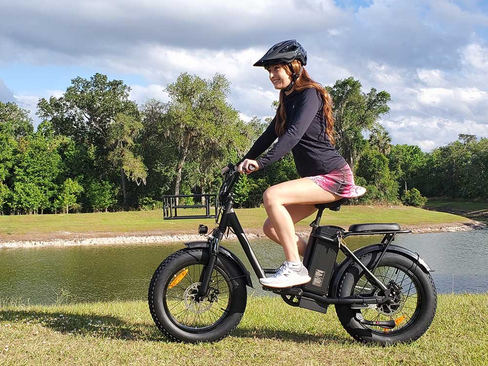 Freego FB-20X Step-Thru Cargo Ebike