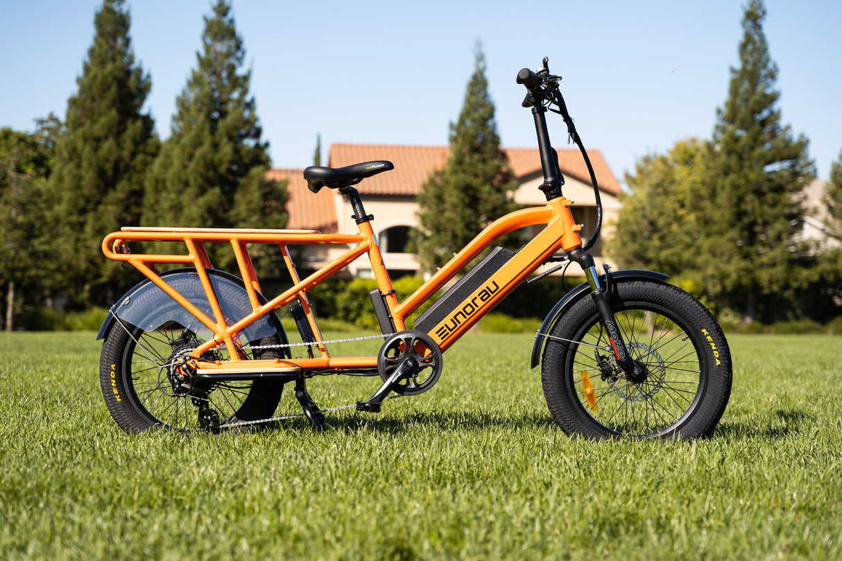 Eunorau G30-Cargo Family Ebike