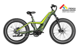 Heybike Hero Carbon-Fiber Mountain Ebike