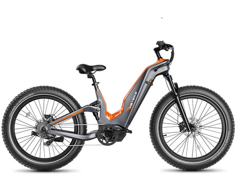 Heybike Hero men electric bikes