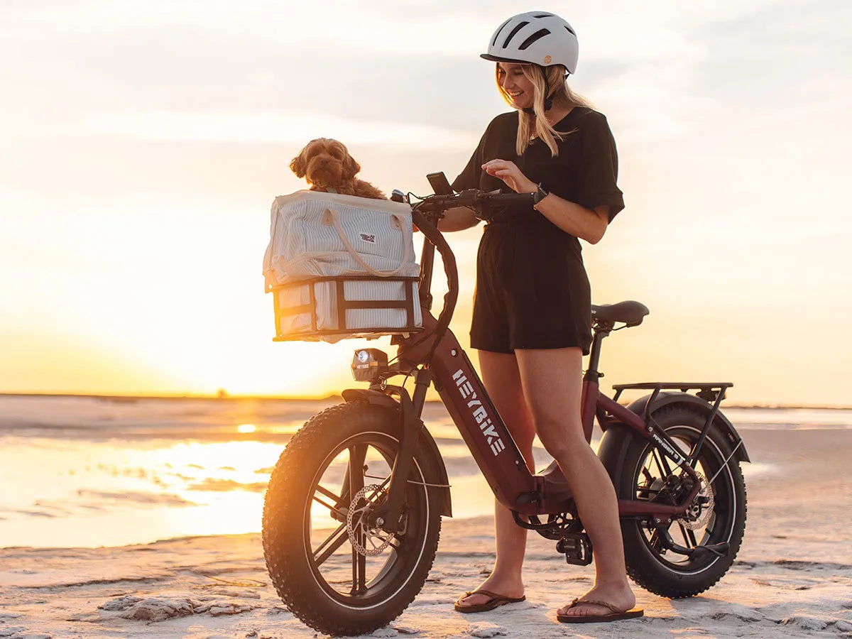 Heybike Ranger S best women's electric bike