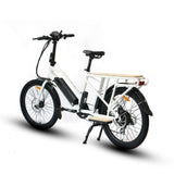 Eunorau Max-Cargo Utility Ebike