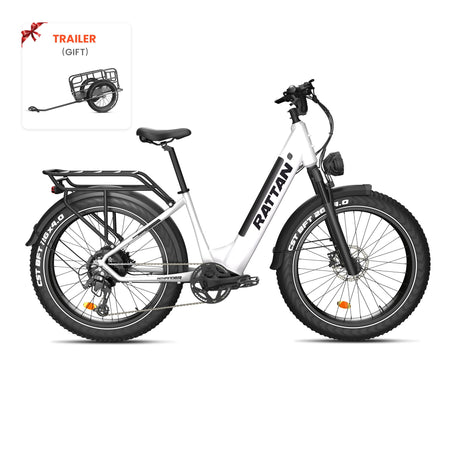 Rattan Pathfinder ST Step Through Ebike