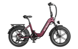 Heybike Ranger S Folding Electric Bike