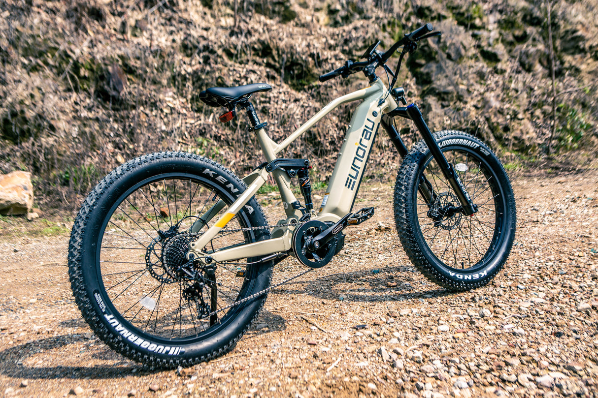 Eunorau Specter-S/Hunter X9 Ebike