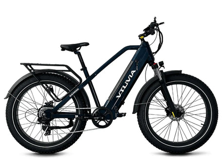 Vtuvia Gemini 1000w motor ebike