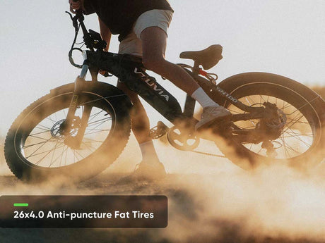 Vtuvia SN100 ebikes with fat tire