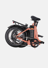 Engwe L20 2.0 Step Thru Ebike