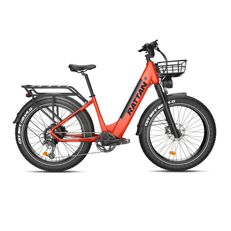 Rattan Pathfinder ST Step Through Ebike