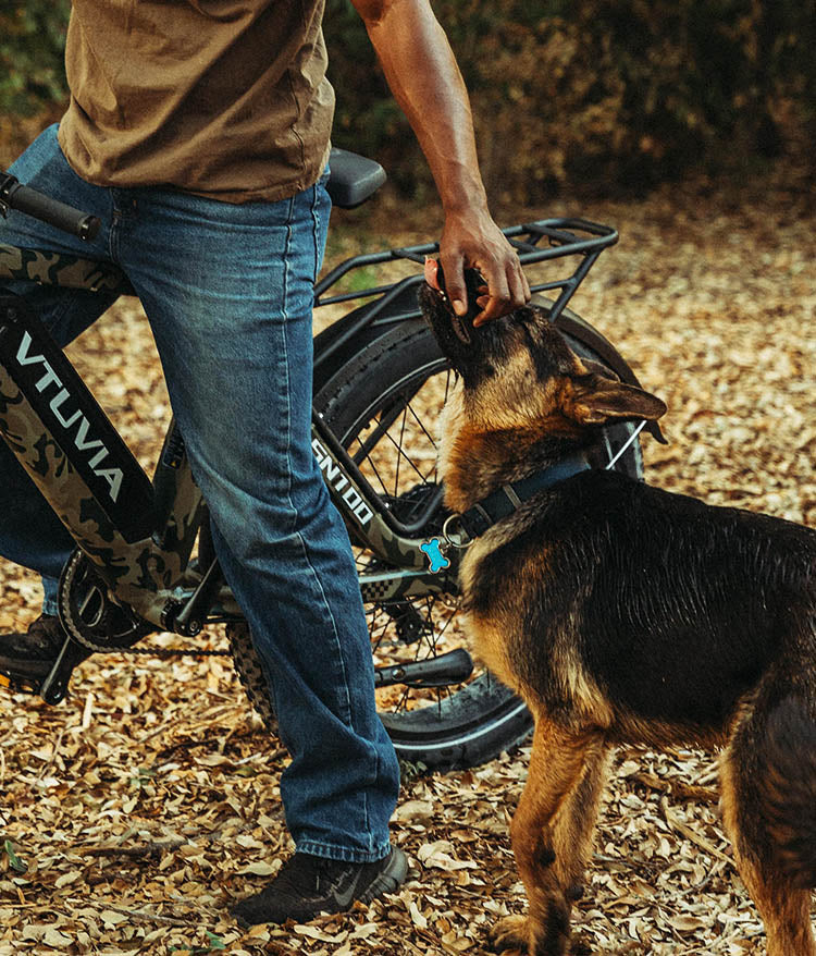 ebikes for hunting