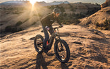 Heybike Hero Carbon-Fiber Mountain Ebike