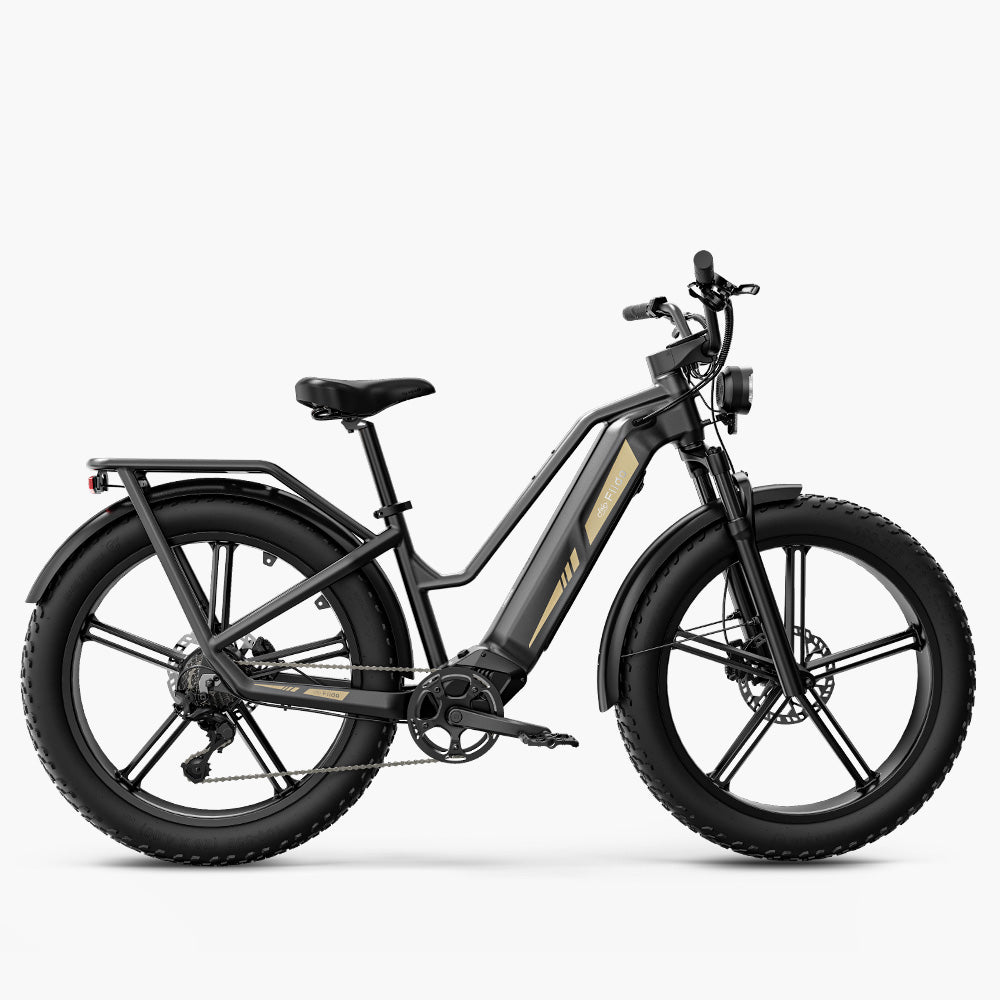 Fiido Titan Cargo Electric Bike