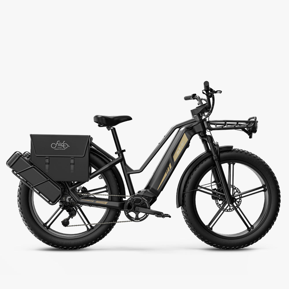 Fiido Titan Cargo Electric Bike