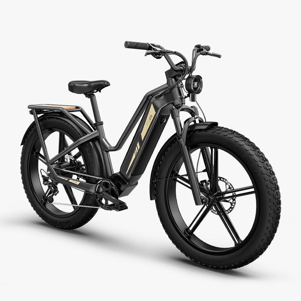 Fiido Titan Cargo Electric Bike