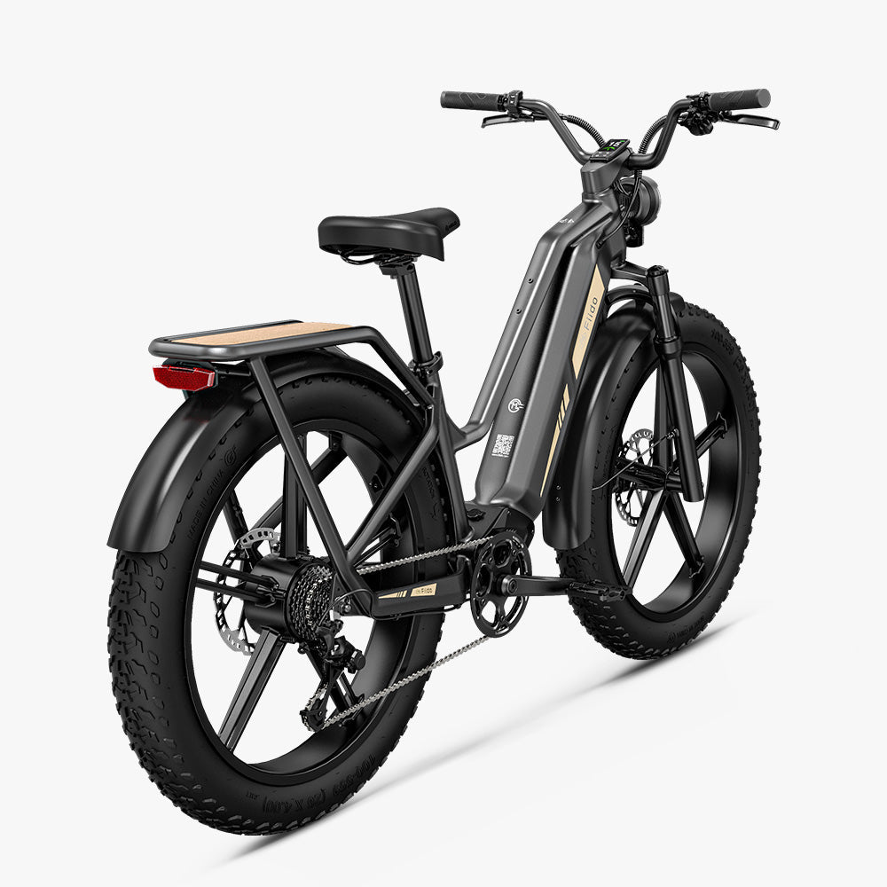 Fiido Titan Cargo Electric Bike